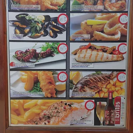 Charming 1 Bedroom In Sunny * Sunny Beach